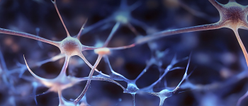 Diplomatura en Neurociencias en el Deporte