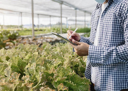 Licenciatura en Administración Agropecuaria