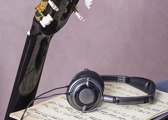 Licenciatura en Artes Musicales