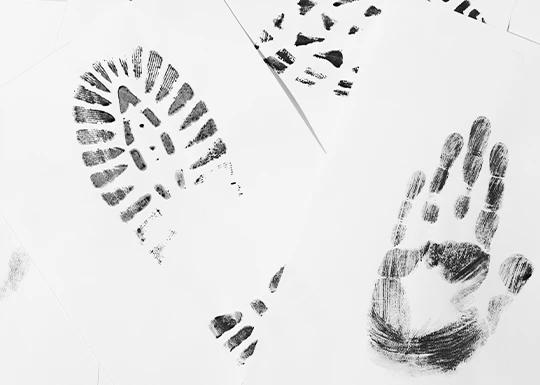 Licenciatura en Criminología - CCC