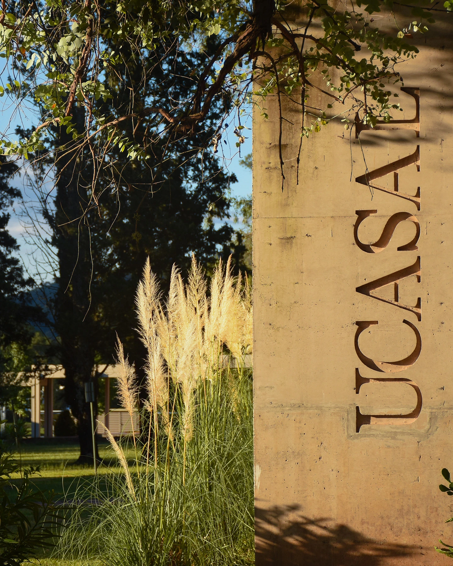 Estudiantes de posgrado