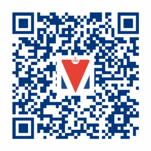 info.ucasal.edu.ar.plan-int